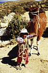 Wer zieht wen? Kleiner bolivianischer Junge mit einem Lama
