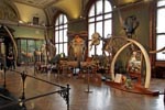 Besonders Saurierskelette oder pr&auml;parierte Elefanten und Giraffen beeindrucken durch ihre lebensechte Gr&ouml;&szlig;e.
