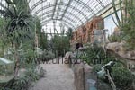 Die Vegetation im W&uuml;stenhaus besteht haupts&auml;chlich aus Kakteen.