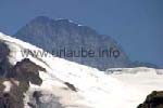 Die Südwand des Eigers (3970 m) vom Eggishorn aus aufgenommen