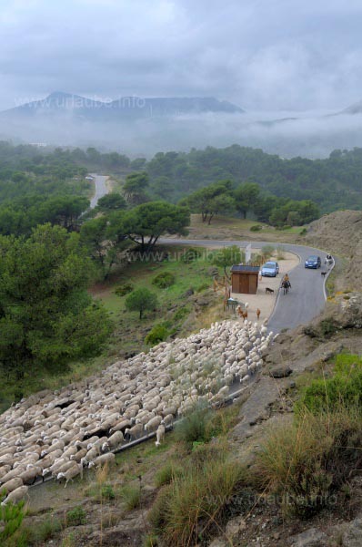 Landschaft bei Bobastro