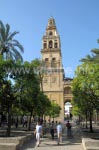 Glockenturm der Mezquita Catedral