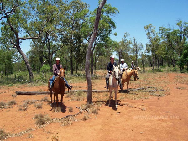 Ausritt im Outback
