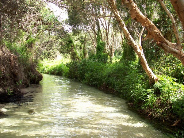 Fluss Elli Creek