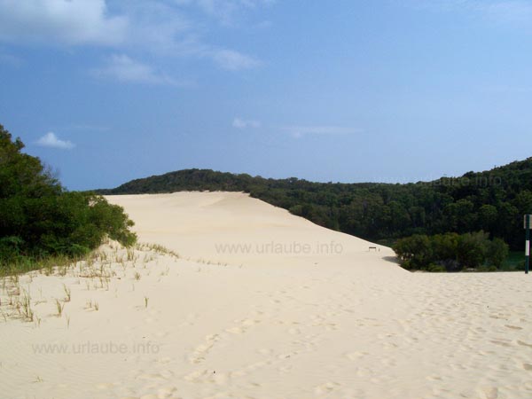 Sandd&uuml;ne auf dem Weg zum Lake Wabby