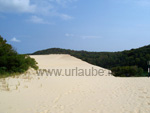 Sanddüne auf dem Weg zum Lake Wabby