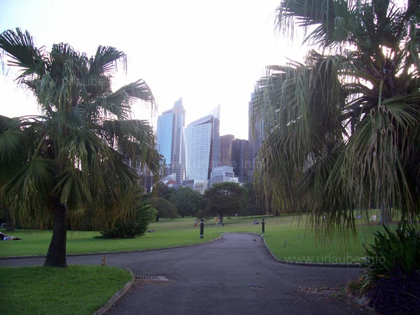 Botanischer Garten von Sydney