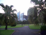 Botanischer Garten von Sydney