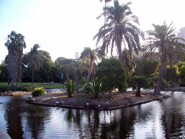 Botanischer Garten von Sydney