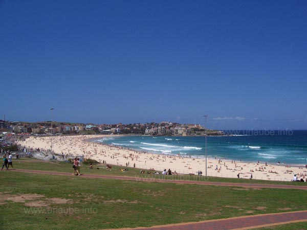 Blick auf Bondi Beach