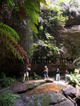 Einer der Wandertracks in den Blue Mountains