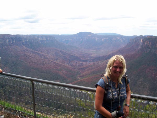 Blick auf einen der Blue Mountains Nationalparks