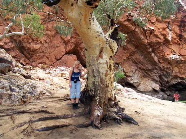 Simy in einer Schlucht der Mc Donnell Ranges