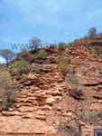 Aufstieg des Kings Canyon Walks