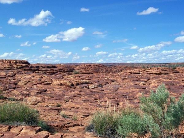 Auf dem Plateau des Canyons