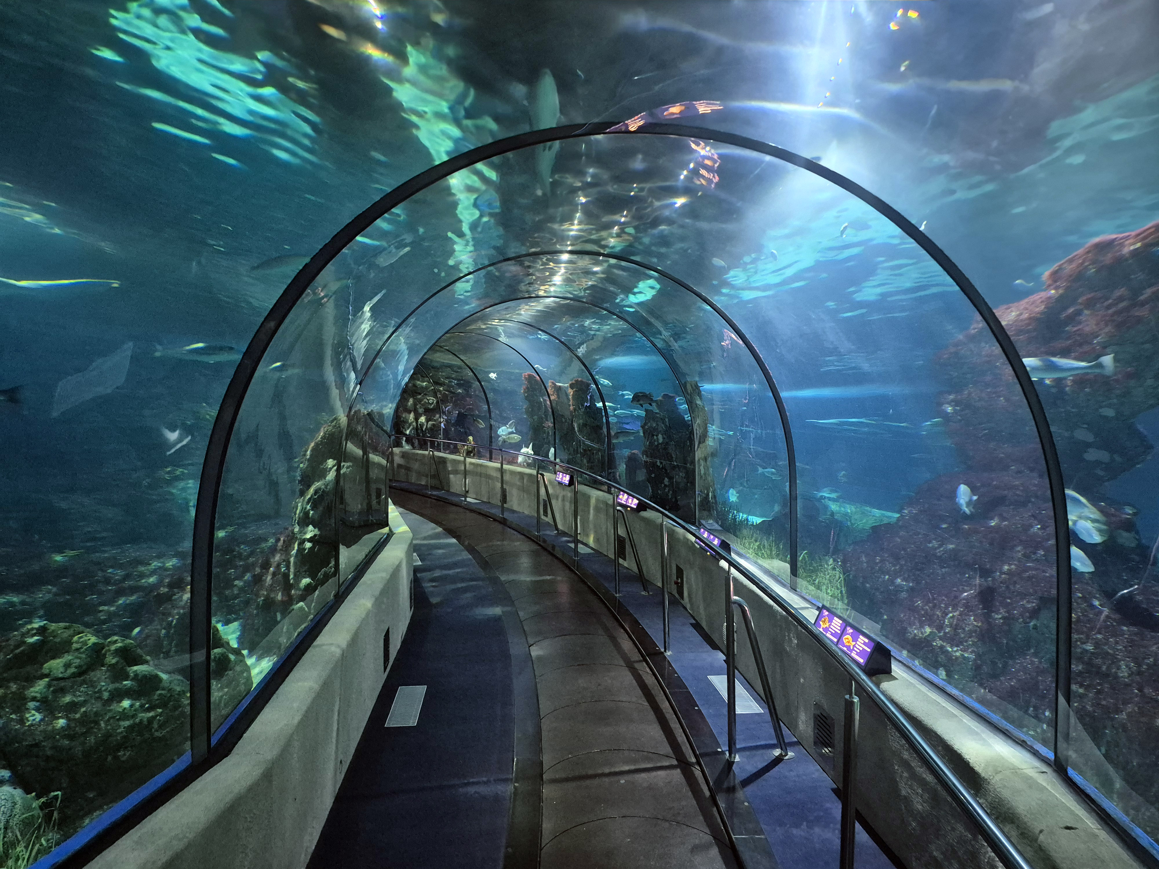 Aquarium