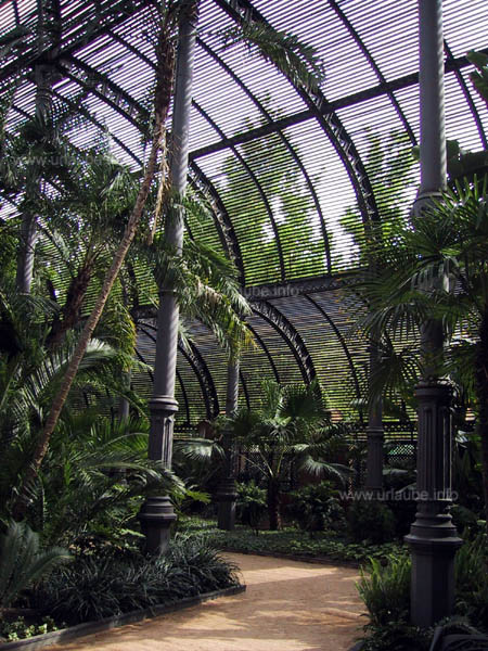 Das wunderschöne Palmenhaus; man beachte auch die Deckenkonstruktion!