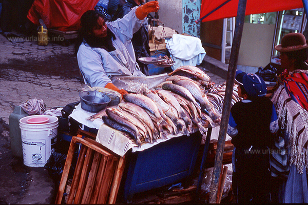 Auf dem Fischmarkt