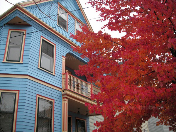 Indian Summer in Somerville, selbst in der Stadt findet man herbstliche Rott&ouml;ne
