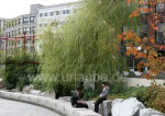 Herbstliche Stimmung im Chinatown Park