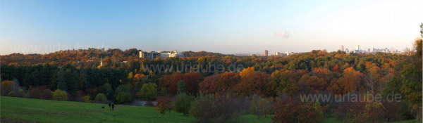 Ein Blick auf die Bostoner Skyline vom Peter\'s Hill im Arboretum