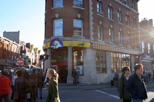 Der Spielzeugladen Curious George am Harvard Square