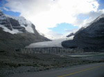 Columbia Icefield: Einer der dicksten Eispanzer südlich des Nordpols (350 m)