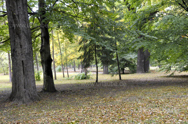 Parklandschaft auf der Margareteninsel