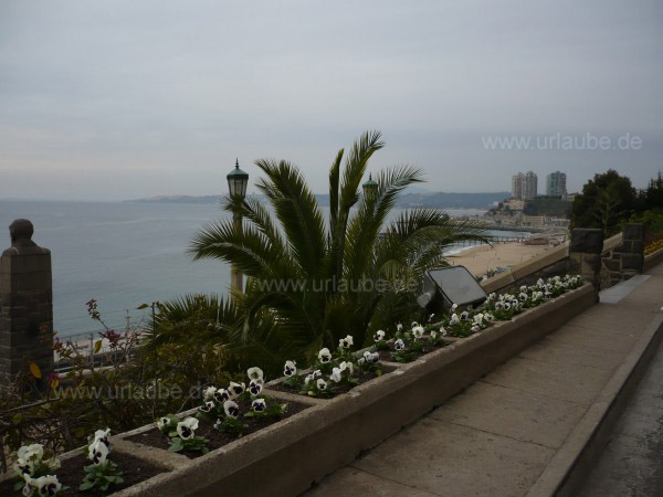 Typisch f&uuml;r die Regi&oacute;n de Valpara&iacute;so: Palmen und kleine Blumenbeete