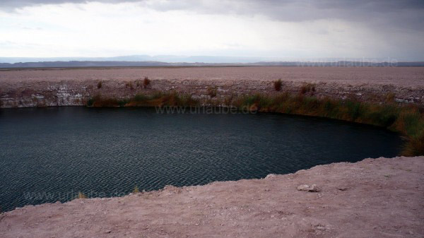 Ojos del Salar