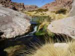 Bringt Vegetation mit sich: Das ansehnliche Flussbett