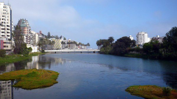 Vi�a del Mar - Ciudad Jard&iacute;n