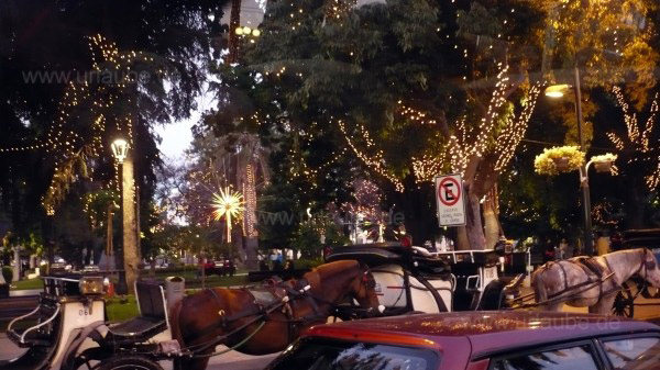 Plaza de Vi�a, Schnappschuss aus einer Micro. Typischerweise verweilen hier immer Pferde. Deutlich zu erkennen ist der kuriose Weihnachtsschmuck der B&auml;ume und Palmen.