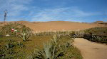 Roca Oceánica, Blick zu den Sanddünen