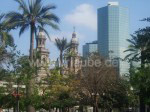 Pflanzen der Plaza de Armas, im Hintergrund die Kathedrale