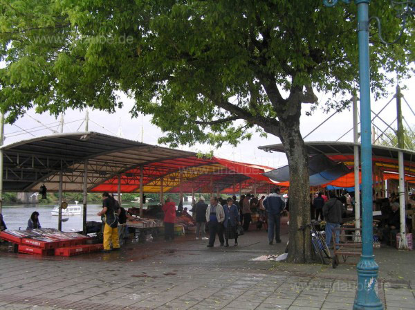 Der Fischmarkt an der Costanera