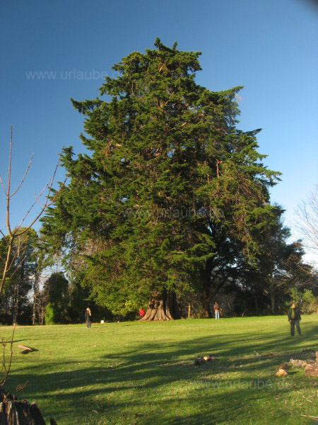 Im botanischen Garten der Universit&auml;t von Vald&iacute;via