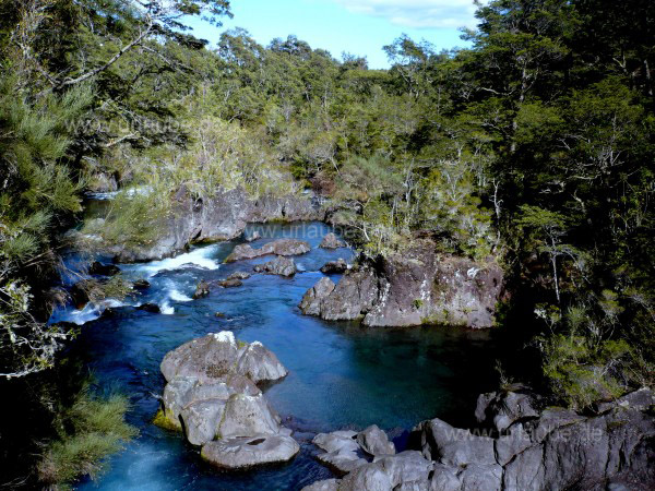 Wild gewachsene B&auml;ume umgeben das Wasser, das in einem kleinen Wasserfall nach unten flie&szlig;t.
