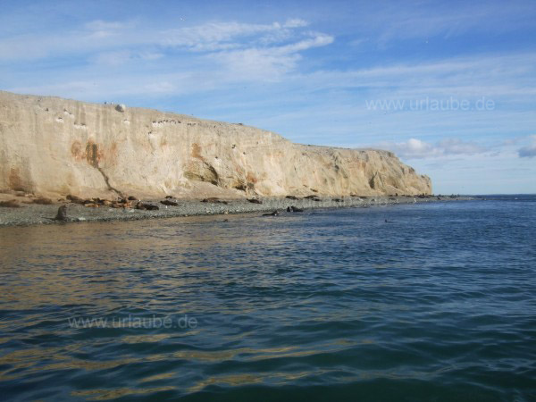 Isla Magdalena