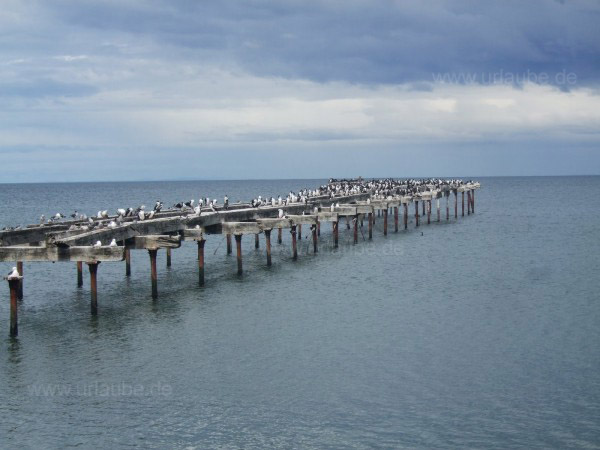 Der Steg ins Meer - ein beliebter Platz