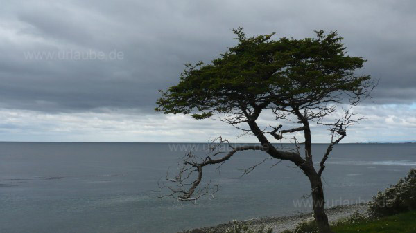 Weitere Impressionen von der Umgebung Punta Arenas. Landschaften in einer Ortschaft, in der N&auml;he des Flughafens