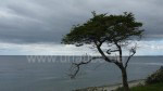 Weitere Impressionen von der Umgebung Punta Arenas. Landschaften in einer Ortschaft, in der Nähe des Flughafens