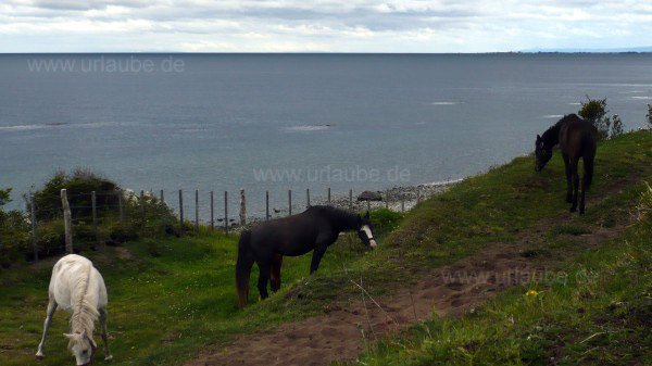 Weitere Impressionen von der Umgebung Punta Arenas. Landschaften in einer Ortschaft, in der N&auml;he des Flughafens