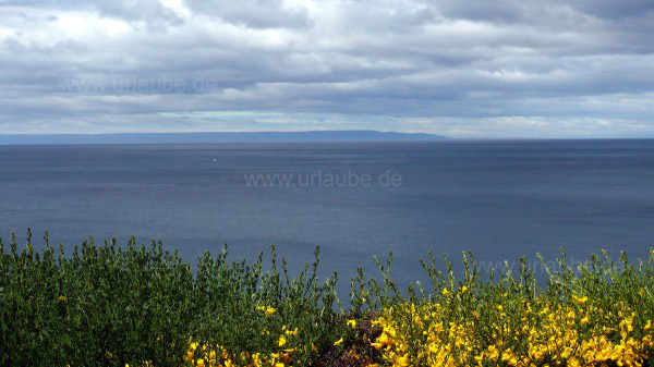 Weitere Impressionen von der Umgebung Punta Arenas. Landschaften in einer Ortschaft, in der N&auml;he des Flughafens