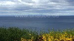 Weitere Impressionen von der Umgebung Punta Arenas. Landschaften in einer Ortschaft, in der Nähe des Flughafens