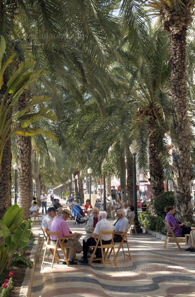 Siesta unter Palmen