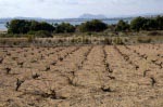 Landschaft an den Lagunen