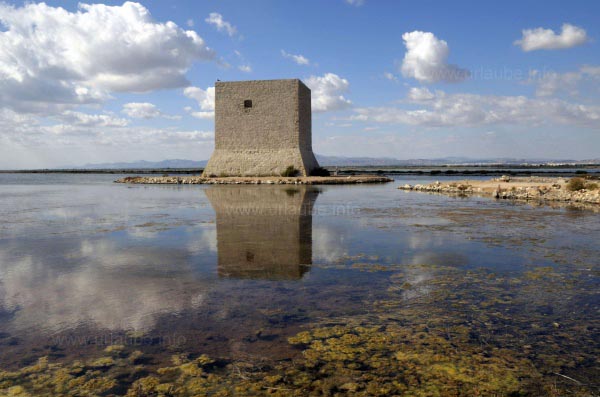 Der Naturpark mit dem Torre de Tamarit