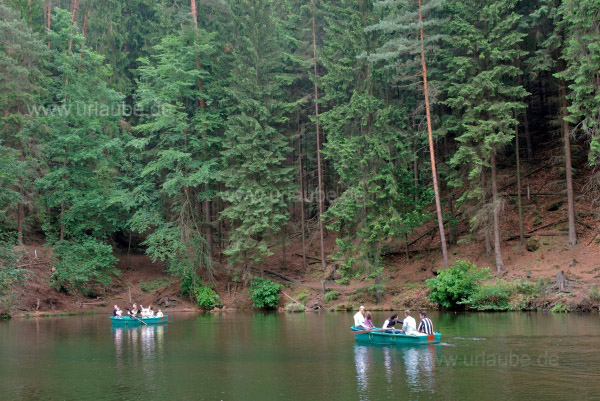Der Amselgrund