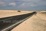 Fahrt durch die Sanddünen von Corralejo